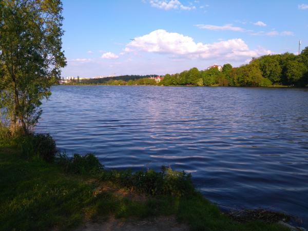 rybník